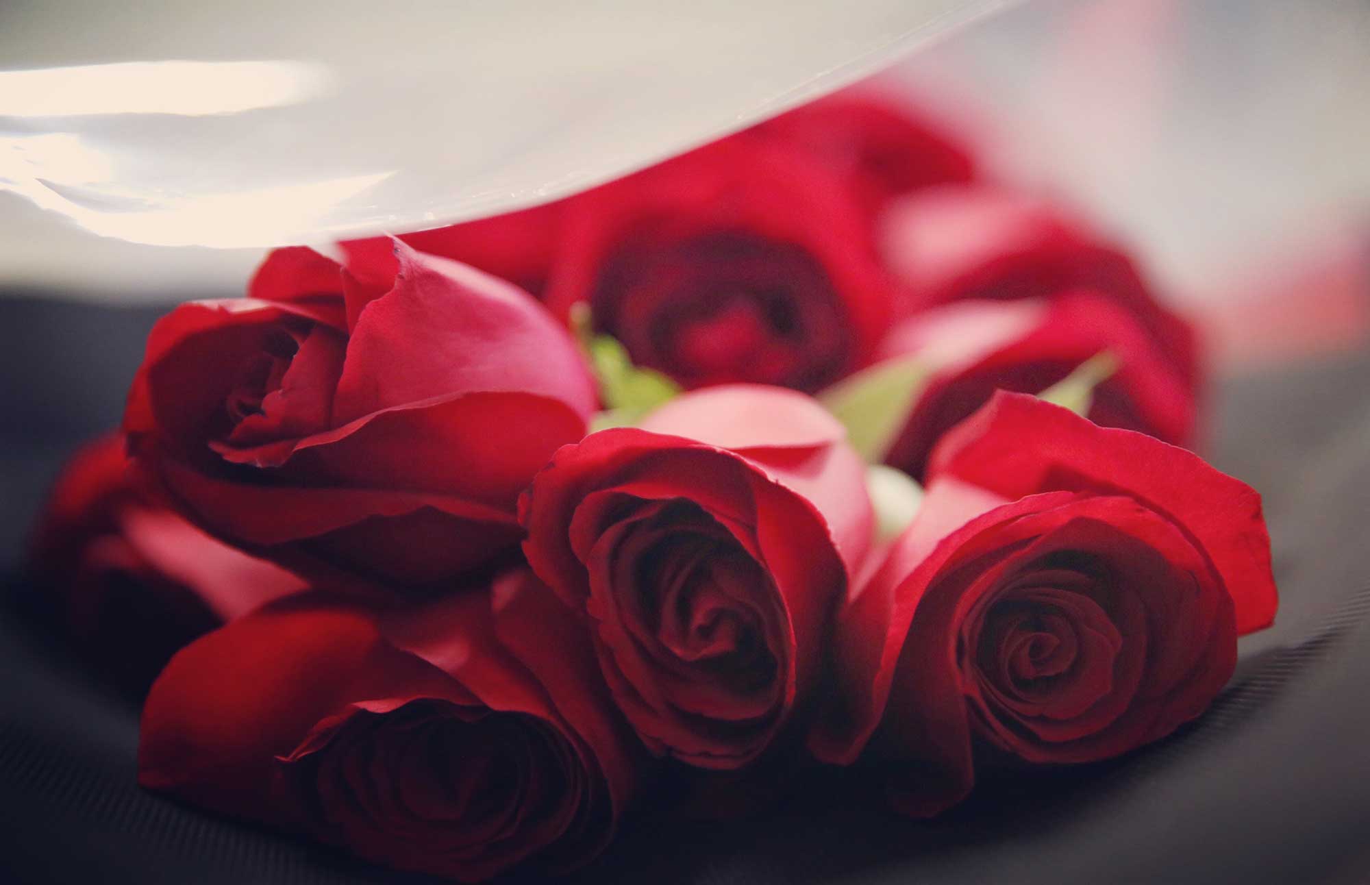 Faites fondre les coeurs